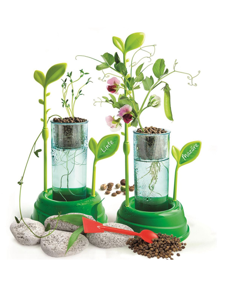 Stiinta & Joaca Gradina Mea - Cultiva Plante Fara Sol - Clementoni